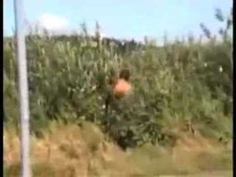 Stenfotografen part 2 (of 2)