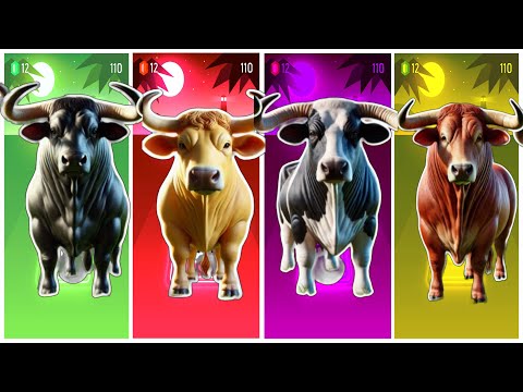 Funny Buffalo🐃🆚Funny Bull🐂🆚Funny Tiger🐅🆚Funny Buffalo🐂🔴Tiles Hop EDM Rush #animals #viralvideo