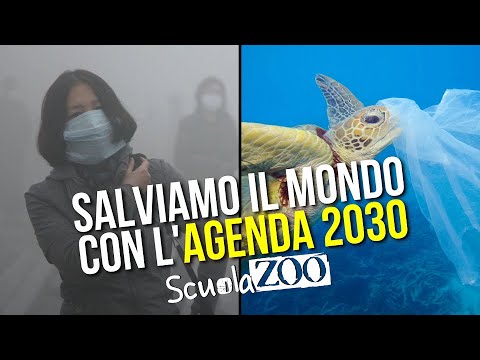 Che cos'è l'AGENDA 2030 e perché è l'unico modo per SALVARE IL MONDO