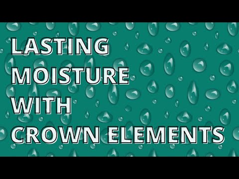 Two Products That Work for Moisturizing Locs