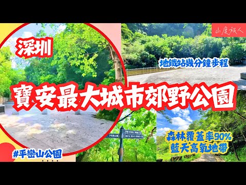 [深圳] 寶安最大城市郊野公園 森林覆蓋率90%  本地人都少 山路兩邊高杉大樹 感受大自然圍繞 平巒山公園 山度旅人同您去#深圳郊遊