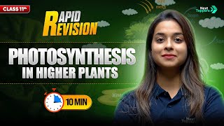 Photosynthesis in Higher Plants | CBSE Class 11 Biology Rapid Revision | Full Chapter in 🔟 Mins