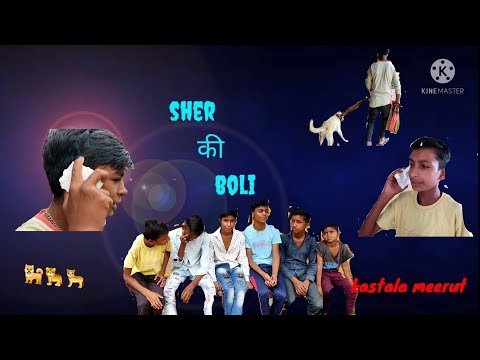 शेर की बोली/sher ki boli kastala meerut group kastala ke kale