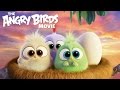 The Angry Birds Movie Happy Mother S Day From The Hatchlings