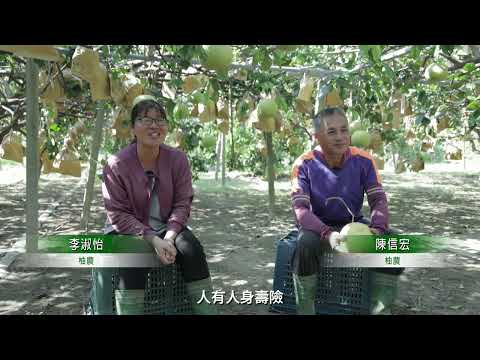 農金署與你  並肩而行的承諾