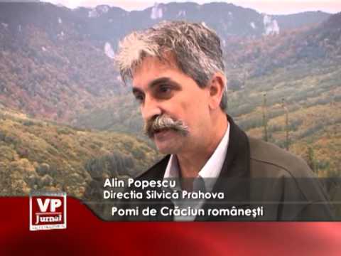 Pomi de Crăciun românești