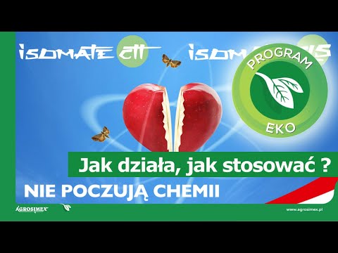 Ekologiczne sadownictwo - ISOMATE - jak działa, jak stosować ?