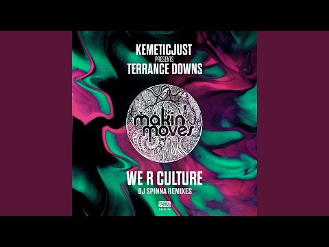 We R Culture (DJ Spinna Galactic Soul Remix) (feat. Terrance Downs)
