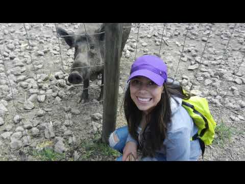 Colombia Au Pair, Ana , 22-EurAuPair Video Profile