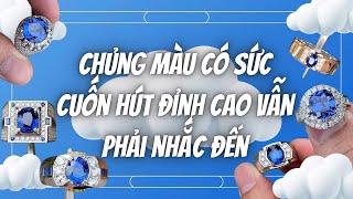Chủng màu có sức cuốn hút đỉnh cao vẫn phải nhắc đến