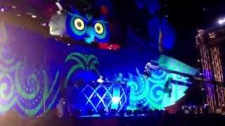Armin Van Buuren @ EDC Las Vegas 2013 (Apache)