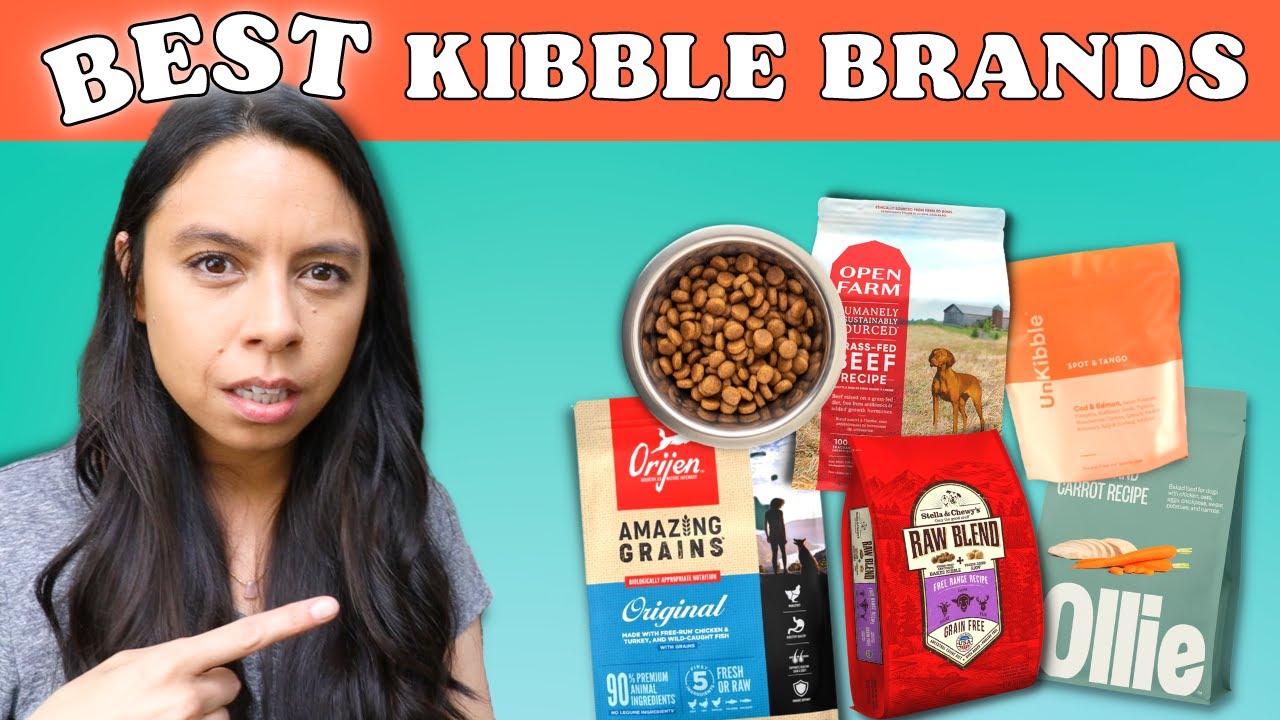 5 Best KIBBLE Brands?! Official Dog Food Review!