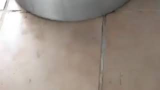 SEREN SERENGİL YAŞAR İPEK KAVGA GÖRÜNTÜLERİ