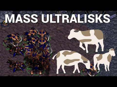 StarCraft 1: SO MANY ULTRAS... - BishOp vs Fengzi Part 5 | China vs Korea