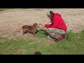 Joaquim Video