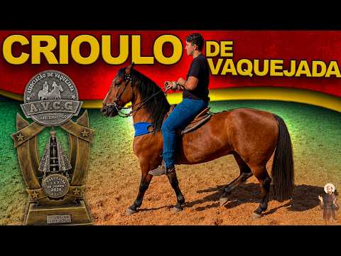 ENCONTREI CAVALO CRIOULO NA VAQUEJADA DO GOIÁS