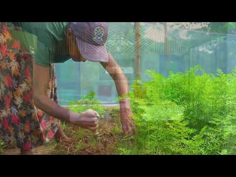 Farmstay with Camping & Adventure at Ravana Valley...