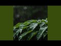 Drift Across Metal Shutters from Afar