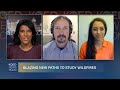 Wildfires And COVID 19 Vaccine Arms Race KQED Newsroom