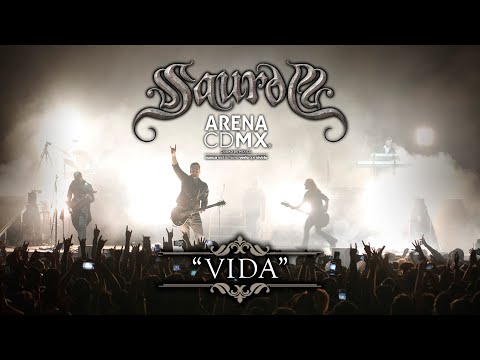 Vida - Saurom