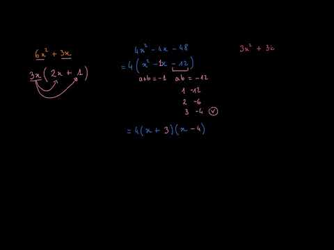 Méthode pour factoriser un trinôme du second degré 1re partie