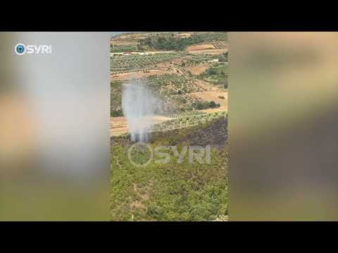 Belsh, zjarri djeg një sipërfaqe toke prej 40 ha, shkrumbohen ullinjtë shumëvjeçarë