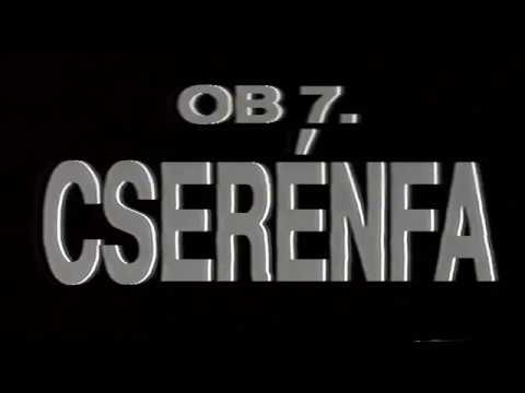 Rallycross 1993 7.Futam Cserénfa