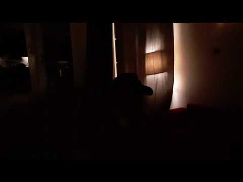 Rafał "Kwasek" Kwaśniewski "Beata z Albatrosa" + "Biały Miś" na pijanym Kwartyrniku w Warszawie 2021