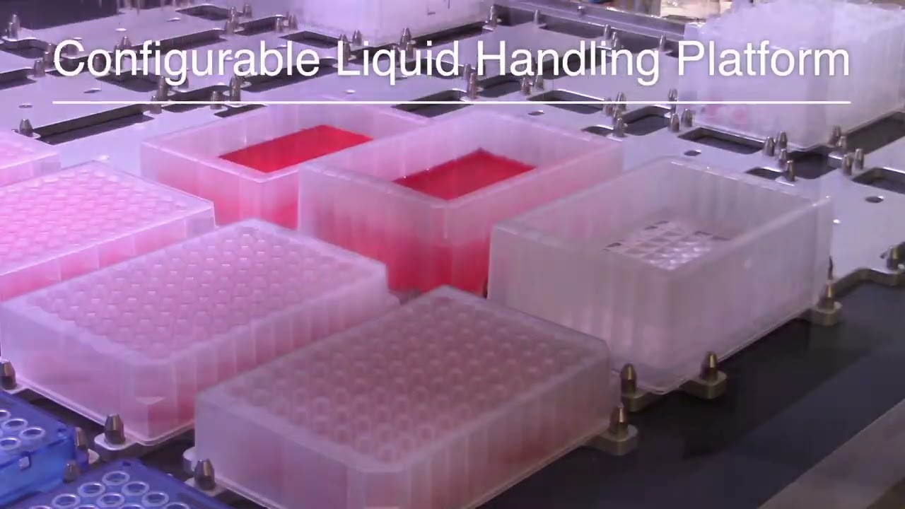 Dynamic Devices Overview