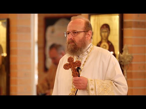 Predică la Duminica a 13-a după Rusalii (Pilda lucrătorilor celor răi) ● PS Sofian Brașoveanul(2023)