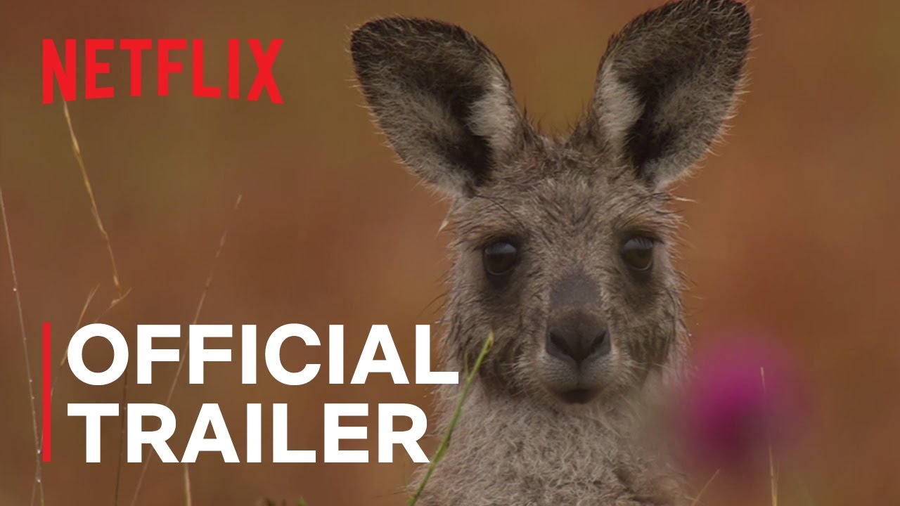 Kangaroo Valley | Official Trailer