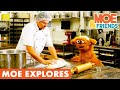 Moe Explores A Bakery Learn How To Make Scones Baking For Kids