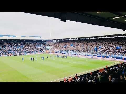 SCHADE 04! VfL-Fans feieren 2:0 ausgiebig! I Seitenblick 