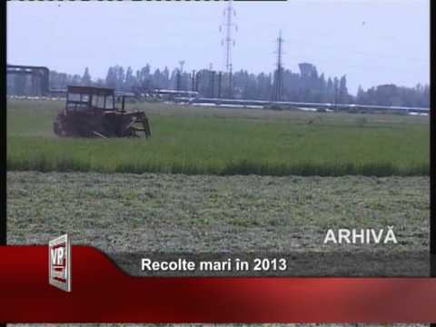 Recolte mari în 2013