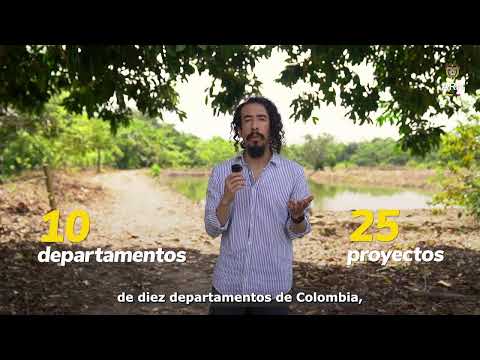 Reconocimientos a proyectos productivos de la Estrategia de Sostenibilidad - Ovejas, Sucre