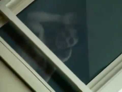 Nicola Sirkis, tout simplement