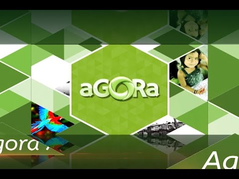 Programa Agora de segunda a sexta no canal 10, SBT Manaus