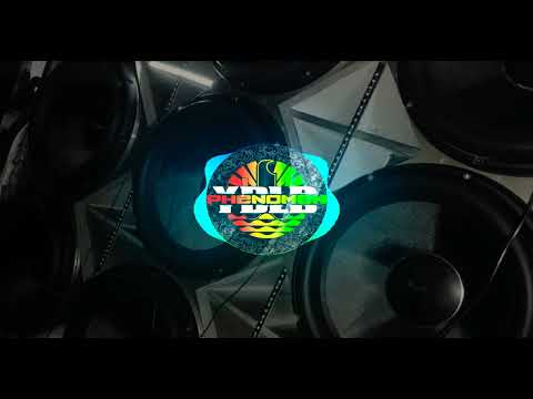 DJ PHENOMEN SAH X SECKOM | FIREBALL REMIX | BASS 2021