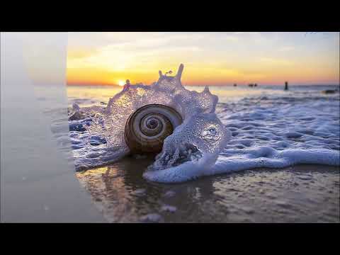 MAJESTYX Omniverse Romance Fantasy 2024 (XIV) - Reflections on Living  (7606)