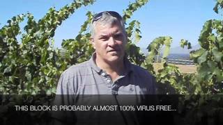 preview picture of video 'Pieter Visser | Oak Valley Pinot Noir'