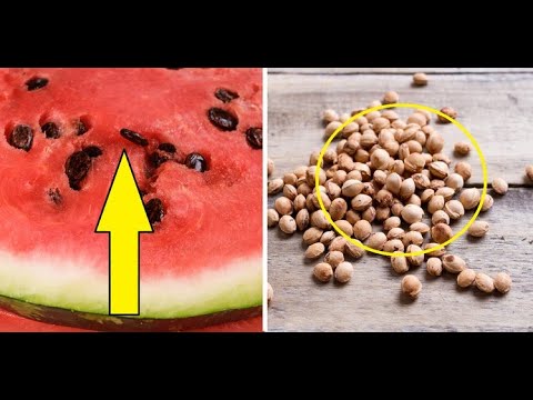 Nigdy nie wyrzucaj pestek tych 10 owoców! Doskonale wpływają na zdrowie |Zdrowie 24h