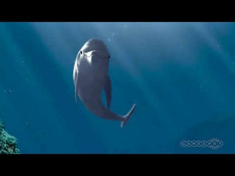 ecco the dolphin xbox 360 walkthrough