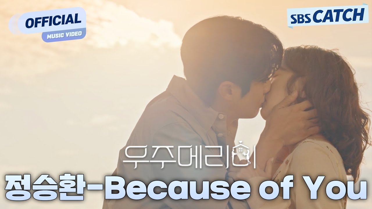 [MV] 정승환 - Because of You I SBS 우주메리미 (Would You Marry Me?) OST Part.7 #우주메리미 #SBSCatch