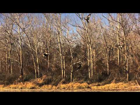 Killin' Time Intro video