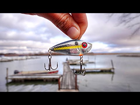 This TINY DOCK Is Hiding MARINA MONSTERS!!! (Took Me MONTHS To Catch Them)