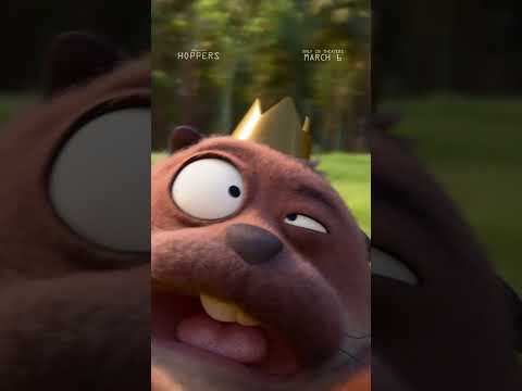 🎟️🦎🎟️🦎🎟️🦎🎟️🦎🎟️🦎