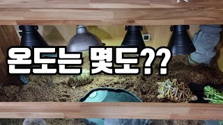 육지거북 밤낮 온도 편차를 둬야 할까?