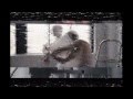 MOTHXR - Victim 
