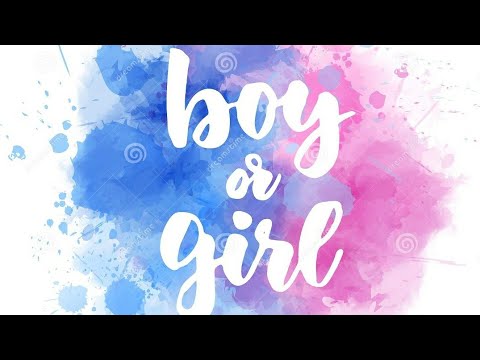 BOY OR GIRL ?!?! 500 Gram Bowties Or Bows By Boom Wow 🎆 2️⃣5️⃣ Shot Gender Reveal
