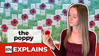 Why do people wear a poppy on Remembrance Day? | CBC Kids News